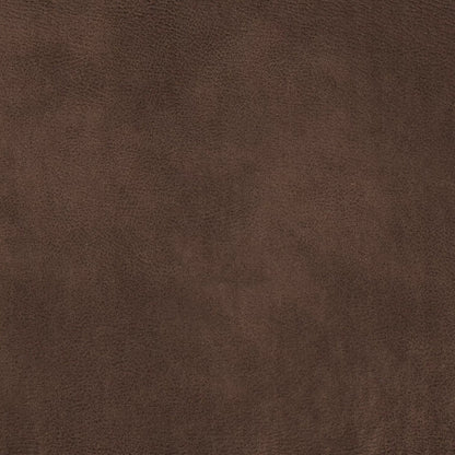 Eastwood by Warwick Fabrics