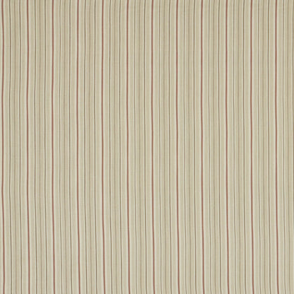Derry Blush by Warwick Fabrics