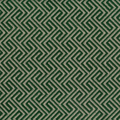 Acapulco Charcoal by Warwick Fabrics
