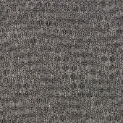 Allora Ebony by Warwick Fabrics