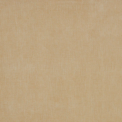 Allora Honey by Warwick Fabrics