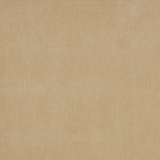 Allora Honey by Warwick Fabrics