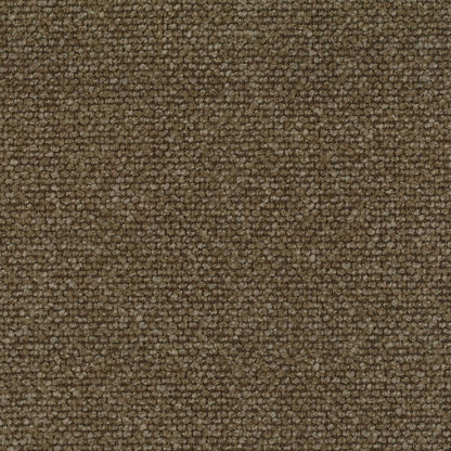 Alaska Bark by Warwick Fabrics