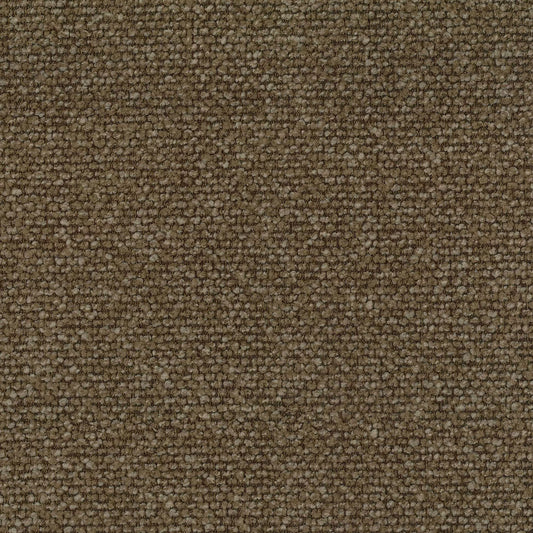 Alaska Bark by Warwick Fabrics