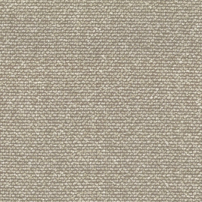 Alaska Dune by Warwick Fabrics
