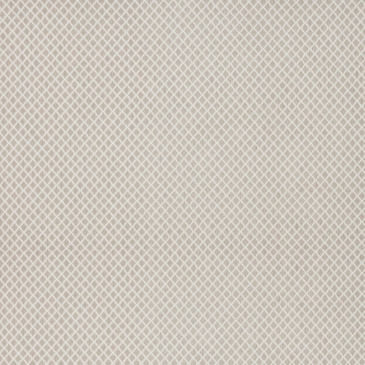 Alvita Birch by Warwick Fabrics