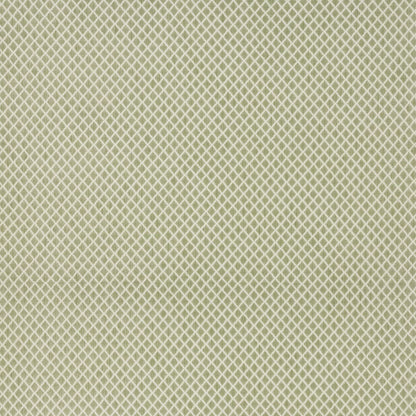 Alvita Olive by Warwick Fabrics