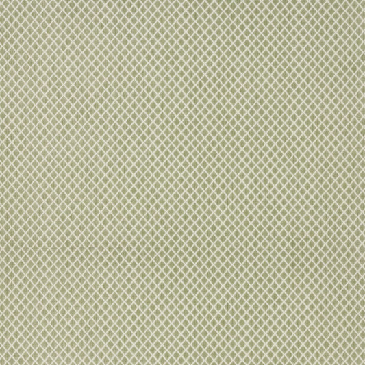 Alvita Olive by Warwick Fabrics