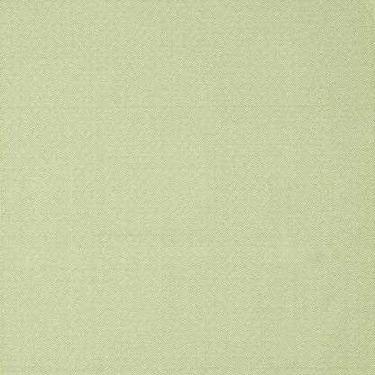 Aldinga Lime By Warwick Fabrics