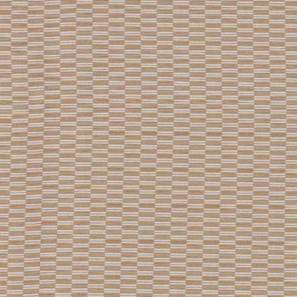 Avela Coral by Warwick Fabrics
