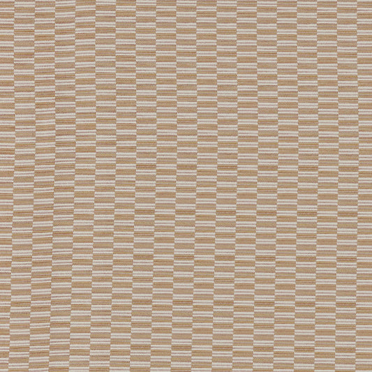 Avela Coral by Warwick Fabrics
