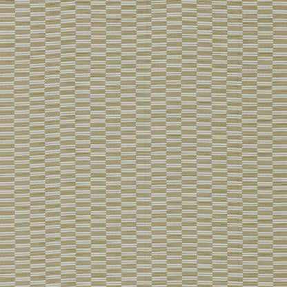 Avela Moss by Warwick Fabrics