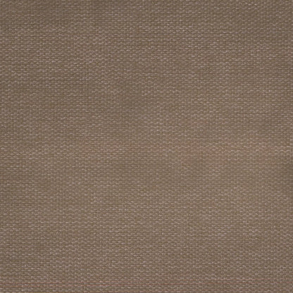 Balmain Blossom by Warwick Fabrics