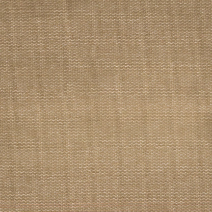 Balmain Blossom by Warwick Fabrics