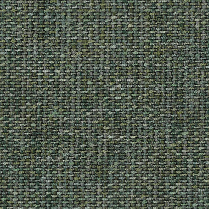 Berkley Fern by Warwick Fabrics