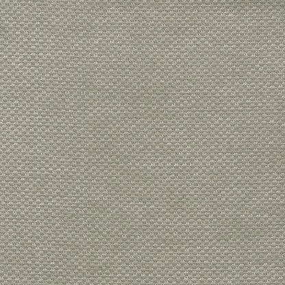 Bingle by Warwick Fabrics