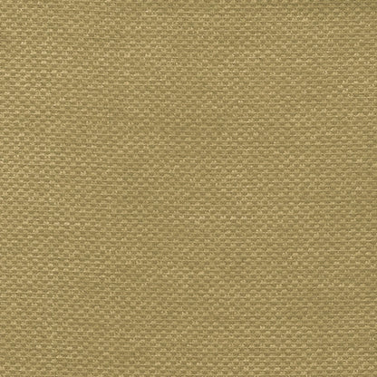 Bingle by Warwick Fabrics