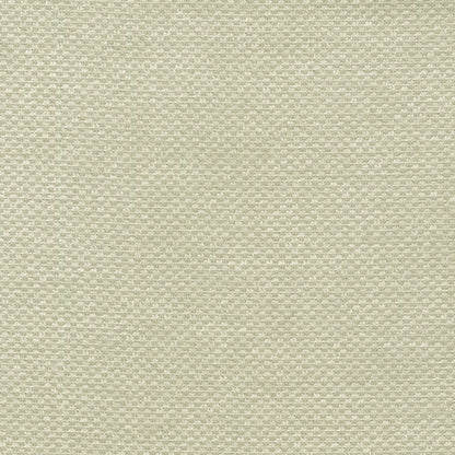 Bingle by Warwick Fabrics