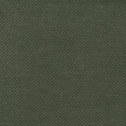 Bingle by Warwick Fabrics
