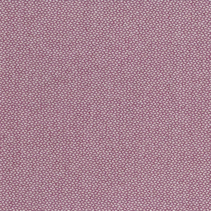 Brooklyn by Warwick Fabrics