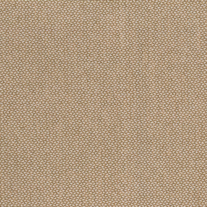 Brooklyn by Warwick Fabrics