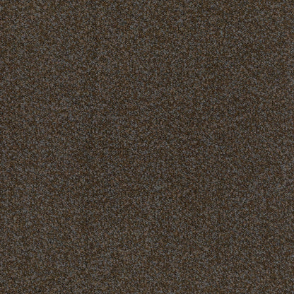 Buckley Bark by Warwick Fabrics