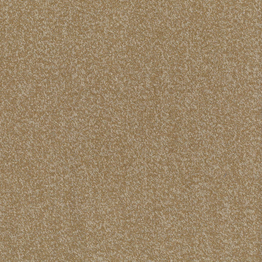 Buckley Toffee by Warwick Fabrics