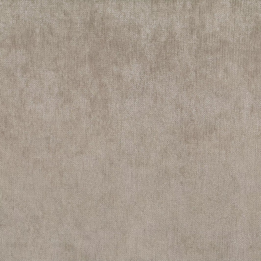 Caspian Biscuit by Warwick Fabrics