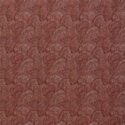 Casablanca Terra  by Warwick Fabrics