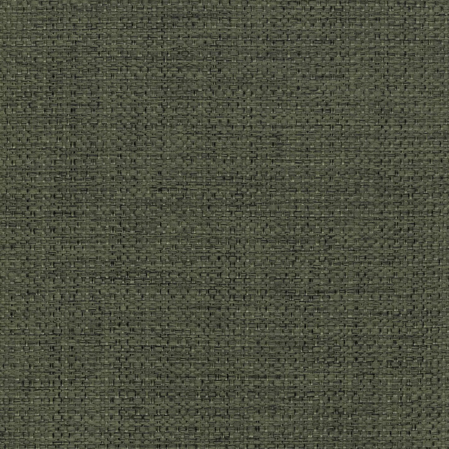 Camber Khaki by Warwick Fabrics