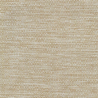 Camber Linen by Warwick Fabrics
