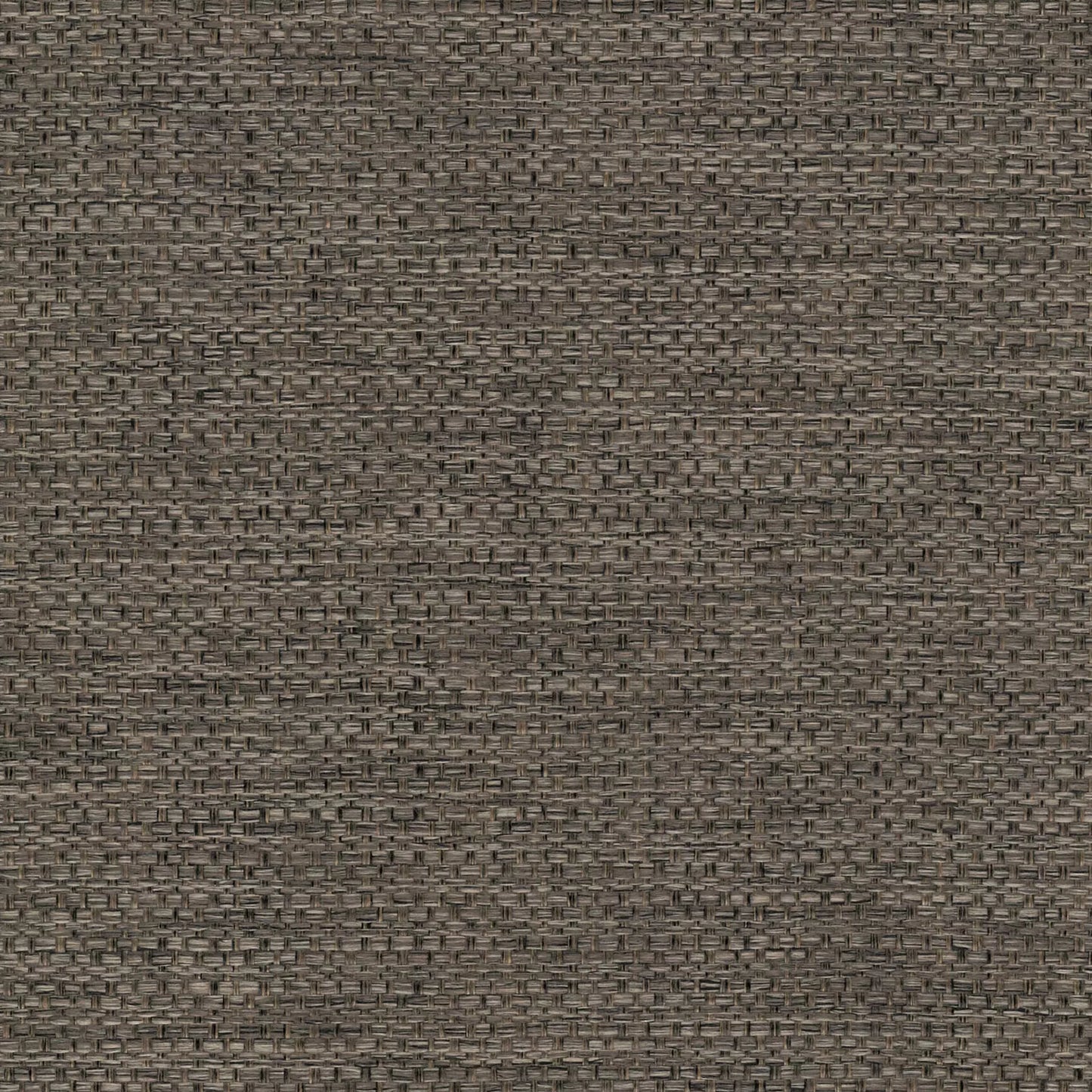 Camber Mink  by Warwick Fabrics