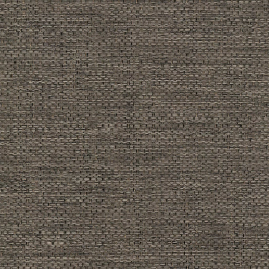 Camber Mink  by Warwick Fabrics