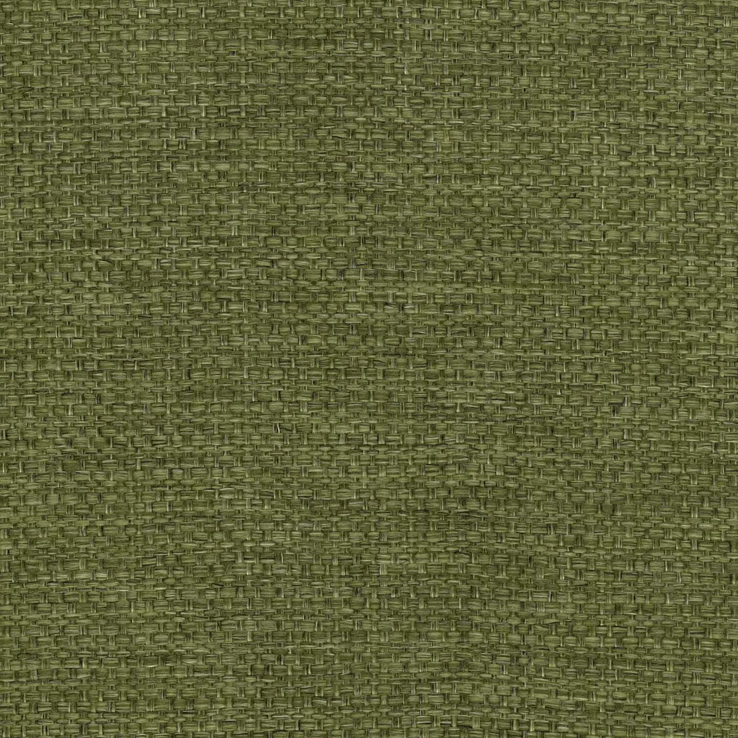 Camber Moss by Warwick Fabrics