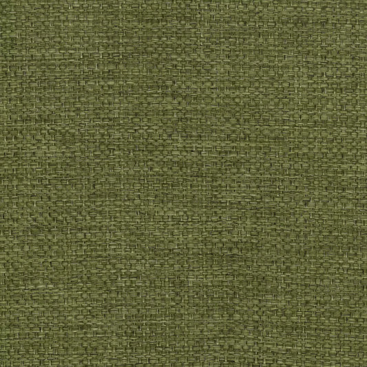 Camber Moss by Warwick Fabrics
