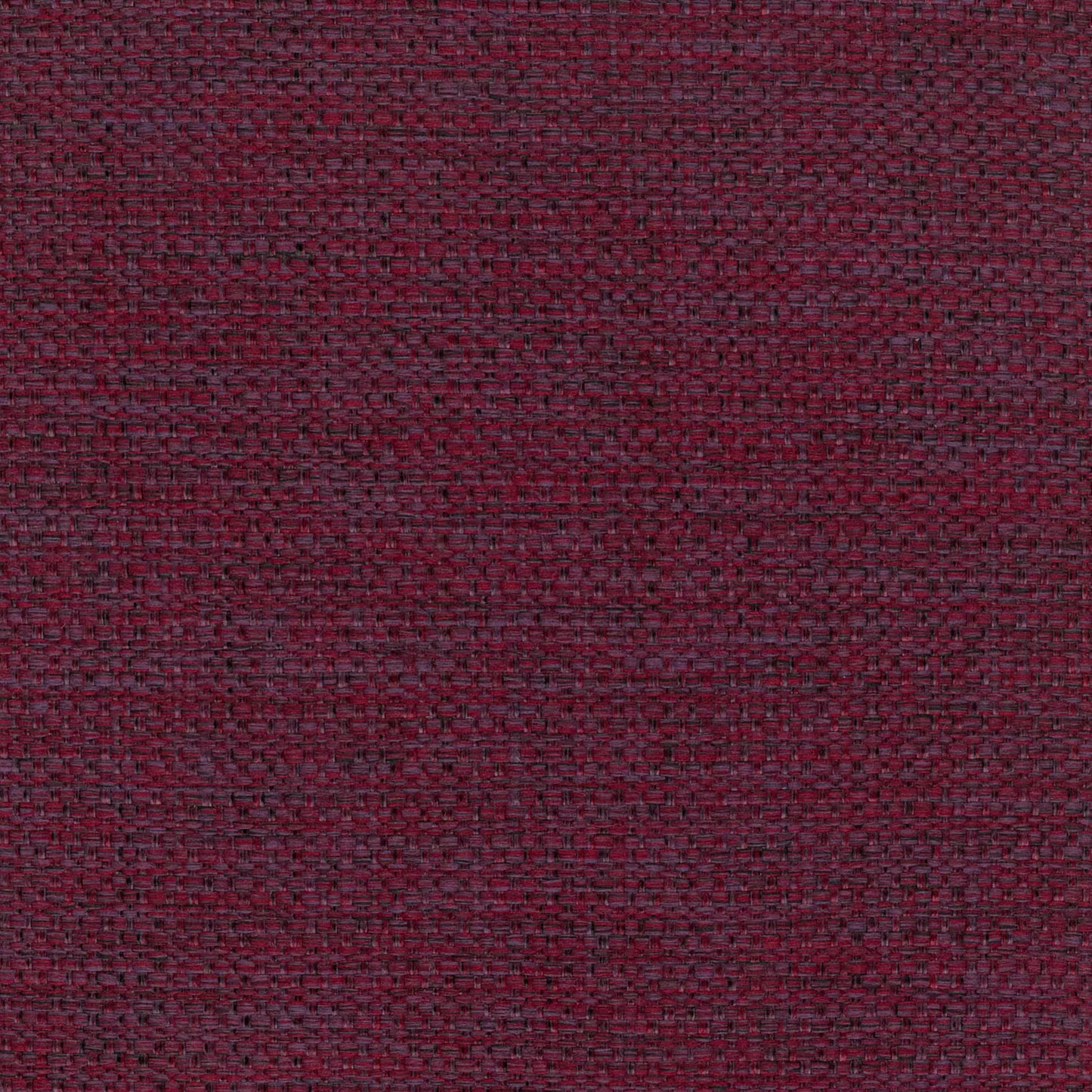 Camber Orchid by Warwick Fabrics