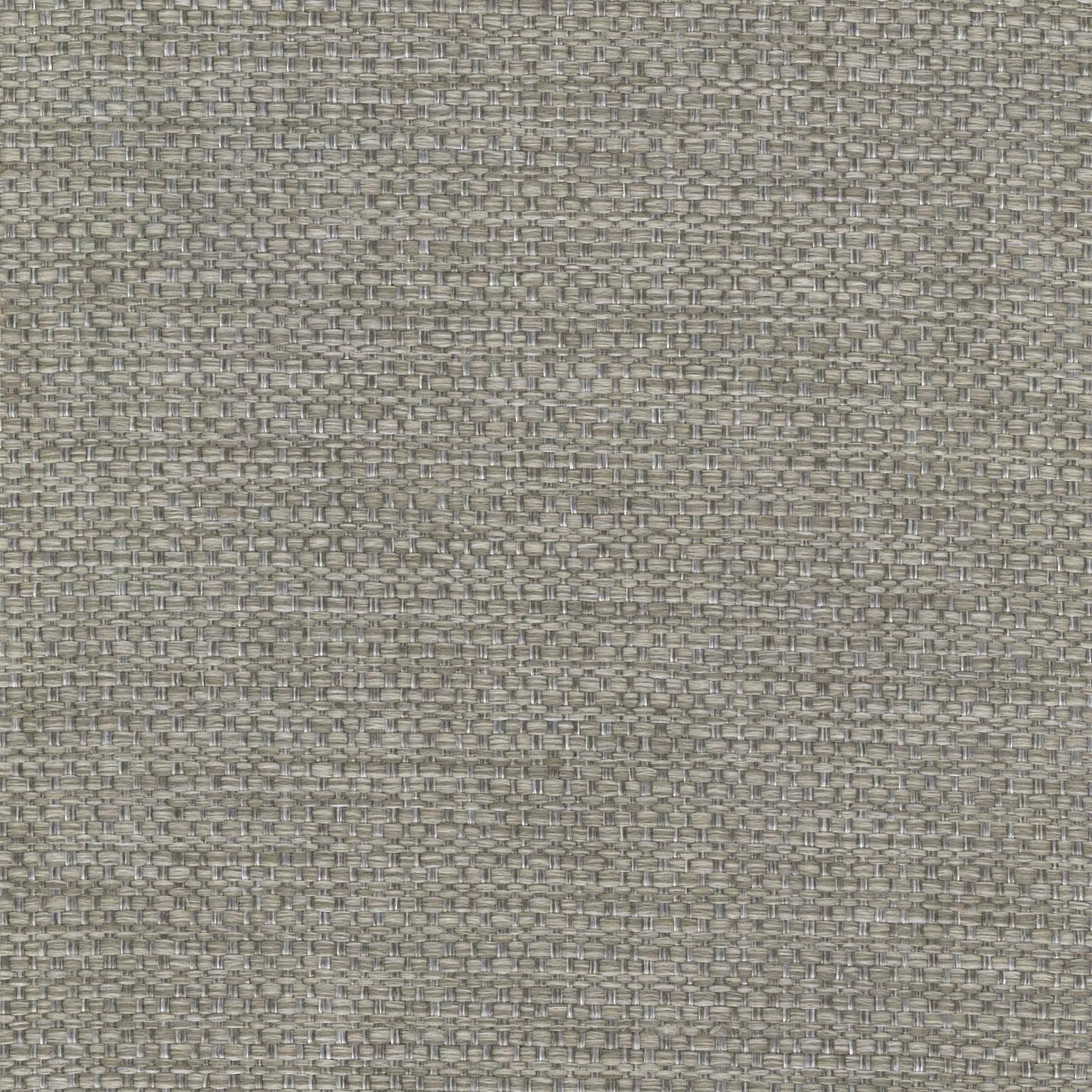 Camber Pebble by Warwick Fabrics