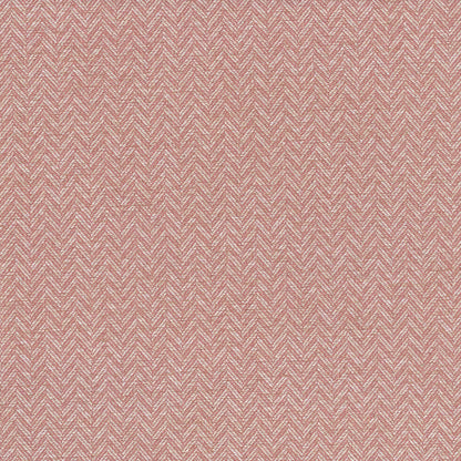 Coney by Warwick Fabrics