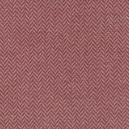 Coney by Warwick Fabrics