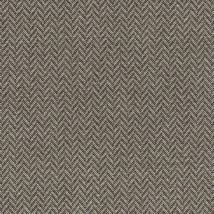 Coney by Warwick Fabrics