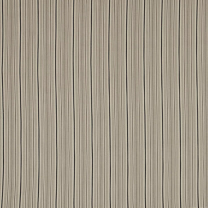Derry Ebony by Warwick Fabrics
