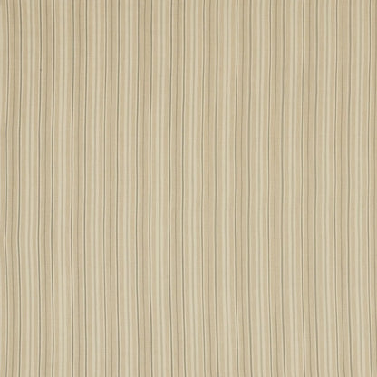 Derry Grey by Warwick Fabrics