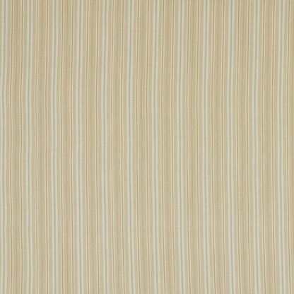 Derry Honey by Warwick Fabrics