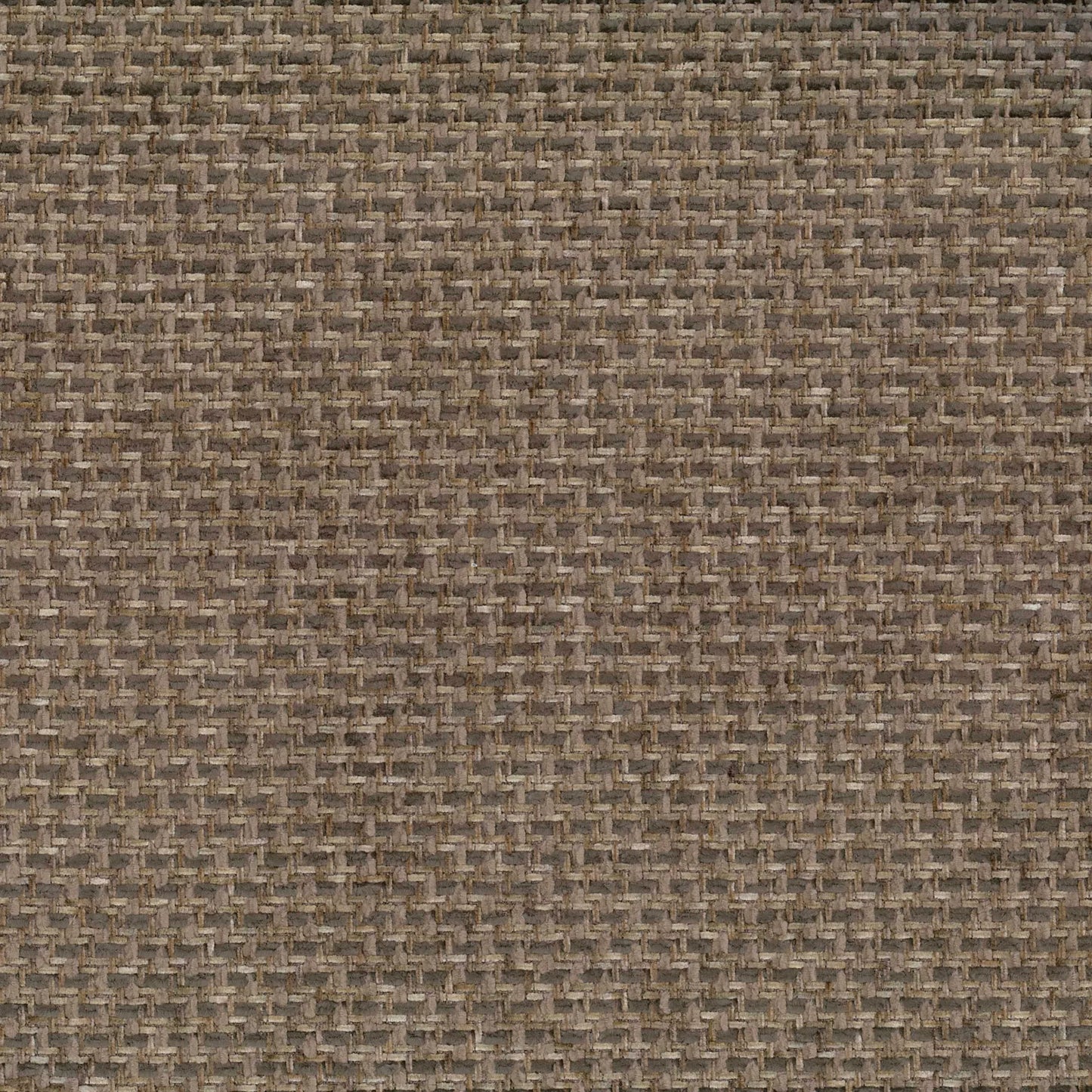Delray Bark by Warwick Fabrics
