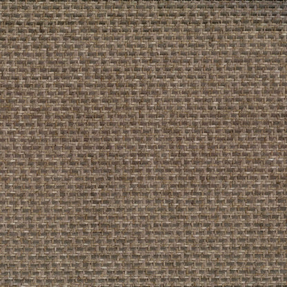 Delray Bark by Warwick Fabrics