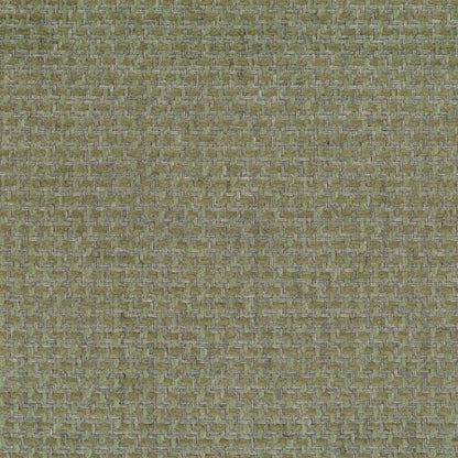 Delray Pistachio by Warwick Fabrics