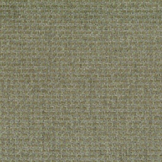 Delray Pistachio by Warwick Fabrics