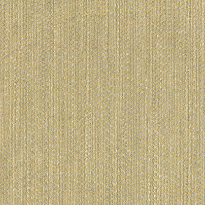 Emir Custard by Warwick Fabrics