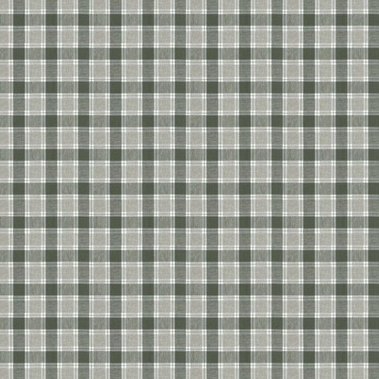 Evandale Sage by Warwick Fabrics