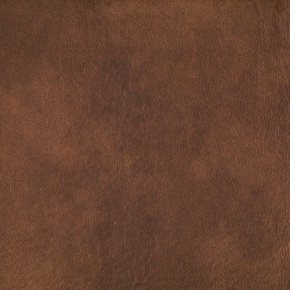 Eastwood Bison by Warwick Fabrics